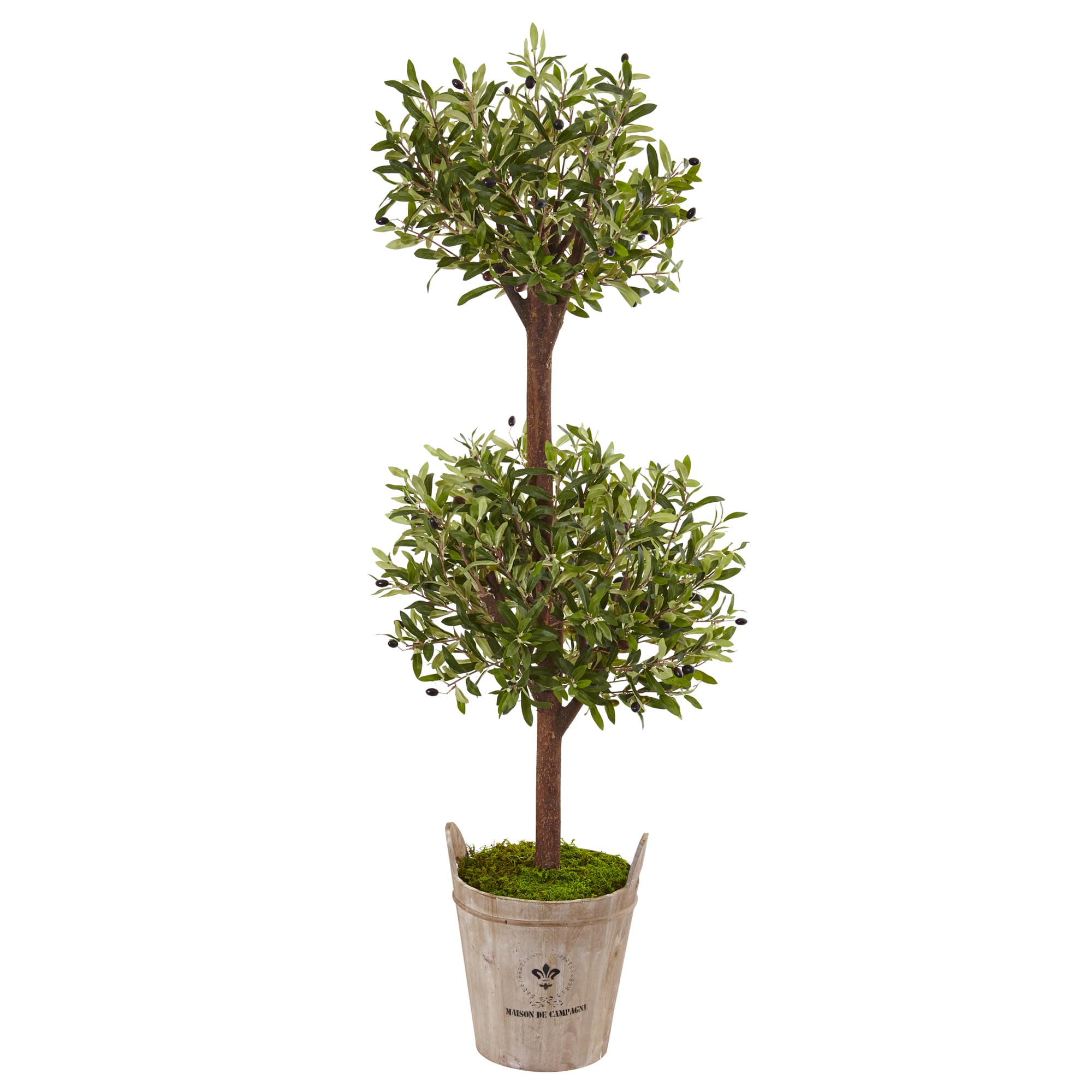 5ft. Olive Tree in Farmhouse Planter